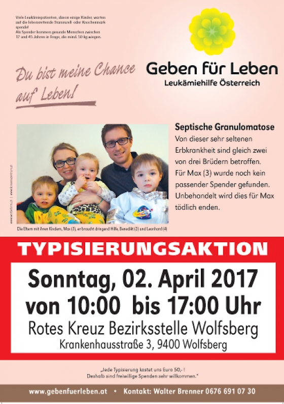 Wolfsberg Kärnten für Max (3)