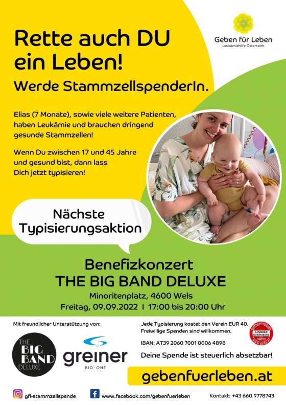 Wels / Oberösterreich