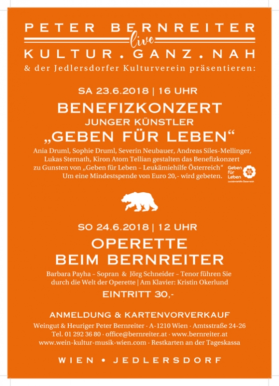 Benefizkonzert Junger Künstler Wien