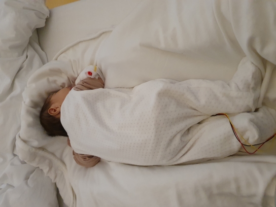 Die kleine Hifa (3 Monate) braucht uns!