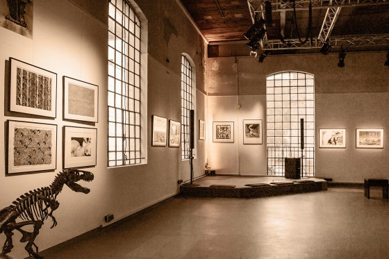 Künstlerisches Benefiz in der Galerie Krafthaus in Dornbirn