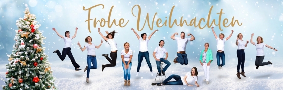 Frohe Weihnachten und vielen Dank Euch allen!