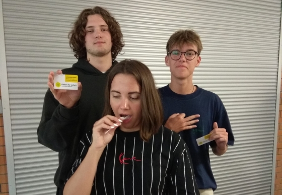 16 Typisierungen am BORG Ried / Oberösterreich