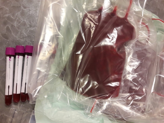 Welt-Knochenmarkspendetag 2023