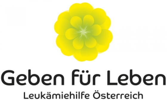20 Jahre Erfahrung mit Typisierungen