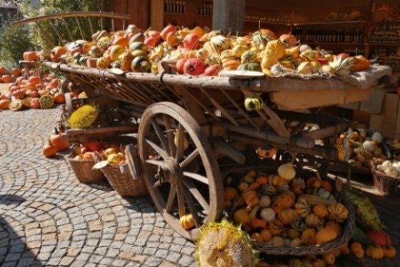 Benefiz-Kürbisfest am 6. Oktober in Nenzing
