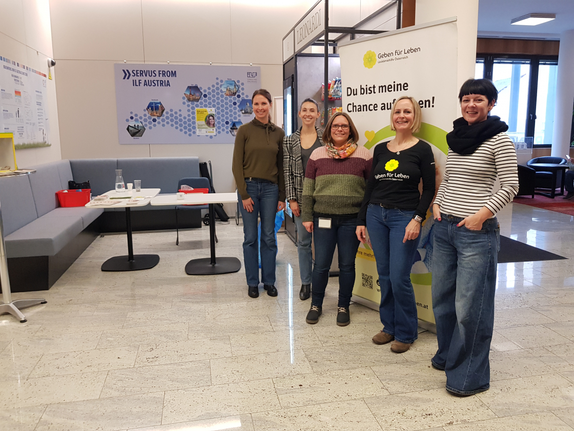 31 Typisierungen bei ILF Consulting Engineers Austria GmbH in Wien