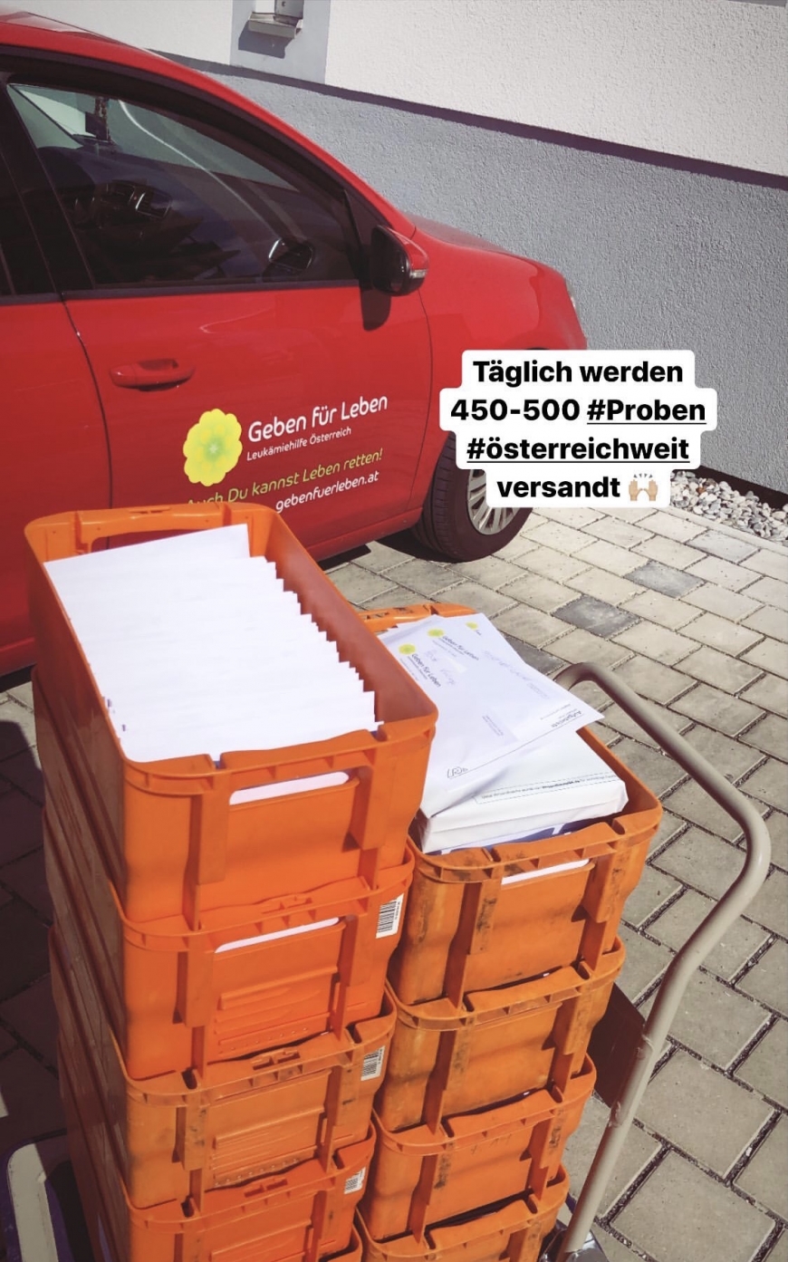 'Die Früchte neuer Ansätze'-Bild-1