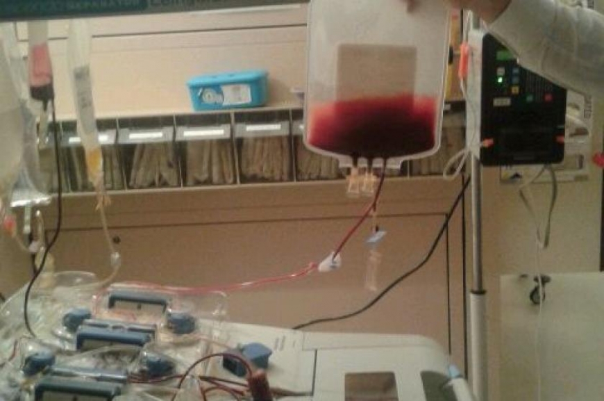 'Ein neuer Stammzellspender konnte gefunden werden!'-Bild-5