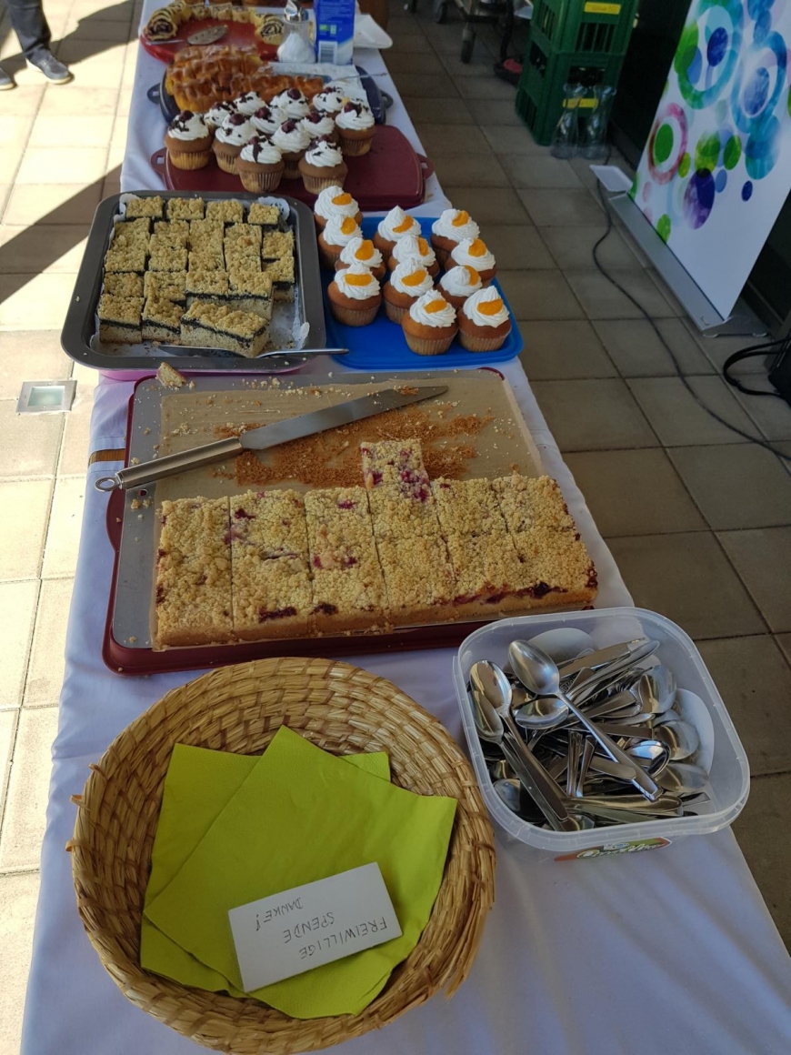 'Typisierungsaktion des Katholischen Frauenbunds in Eberstalzell'-Bild-10