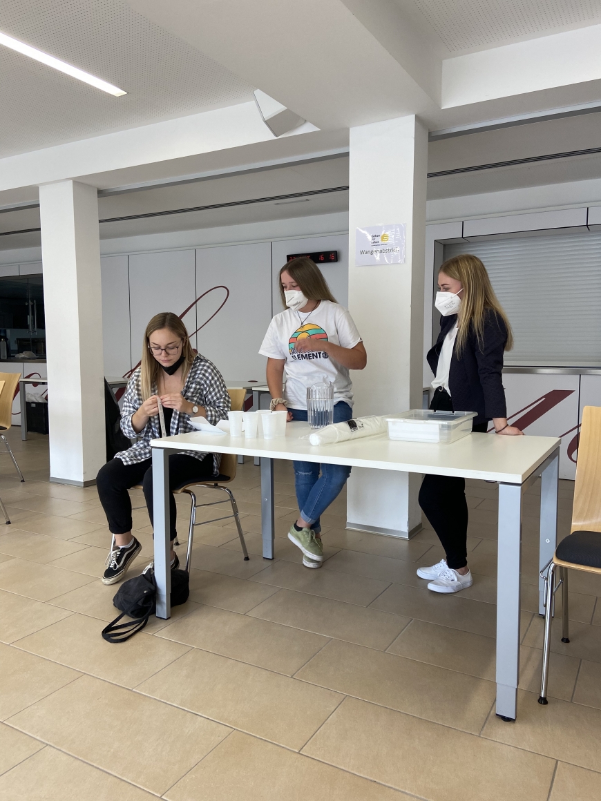 'Maturaprojekt sorgt für 50 potentielle LebensretterInnen'-Bild-11