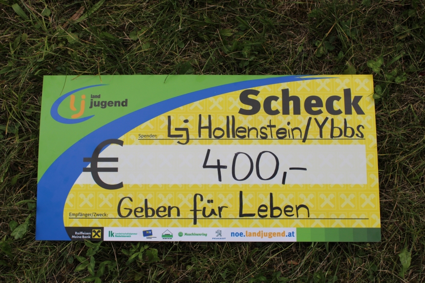 'Neuerliche Unterstützung durch die engagierte Hollensteiner Landjugend'-Bild-1