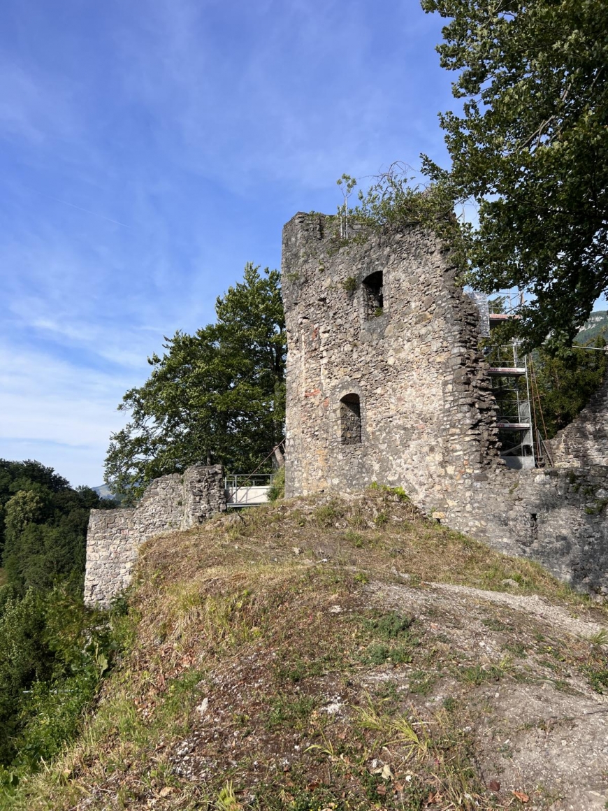 'Das Team der Leukämiehilfe unterstützt Aktion für Stunde des Herzens'-Bild-4