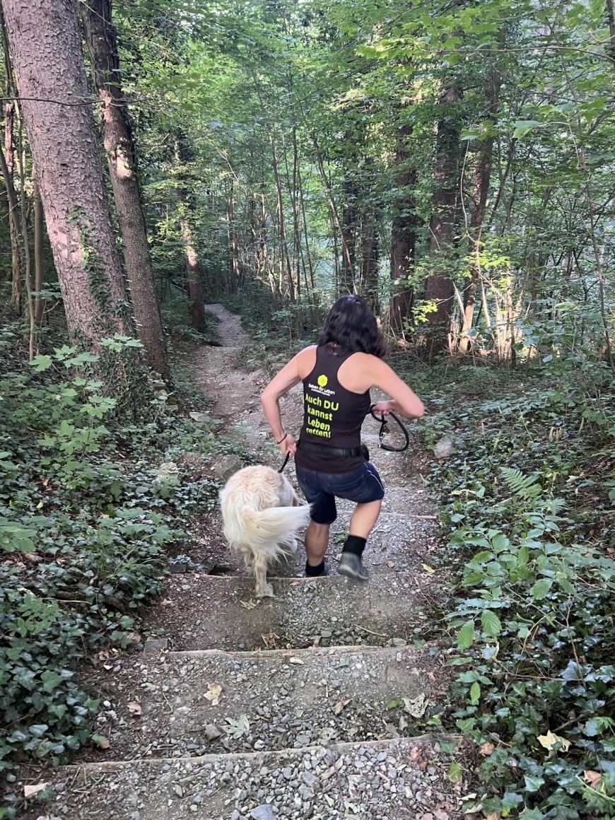 'Das Team der Leukämiehilfe unterstützt Aktion für Stunde des Herzens'-Bild-6