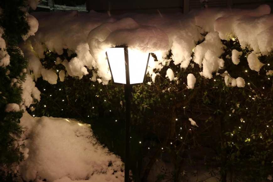 'Zweiter 24-Stunden-Essensmarathon in Bregenz wieder ein voller Erfolg'-Bild-24