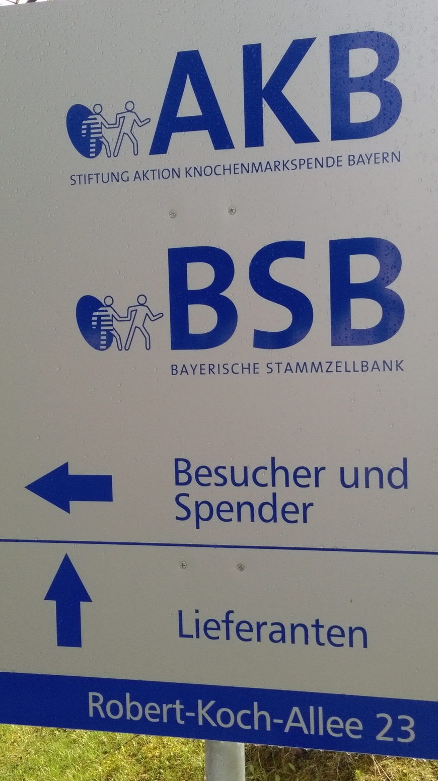 'Neue Lebensretterin aus Krumbach für 23 jährigen Brasilianer gefunden!'-Bild-5