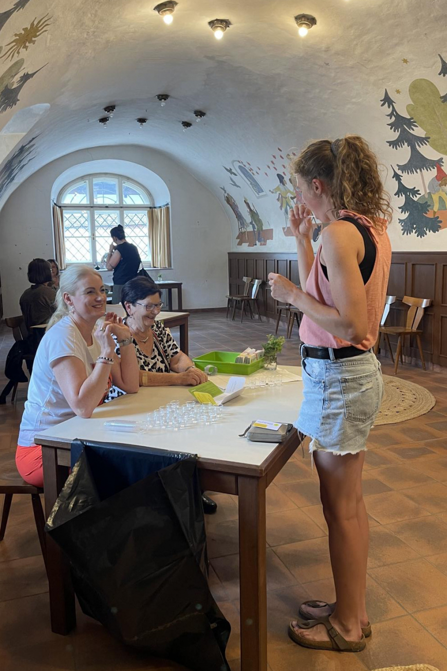 'Brigitte Gehwolf organisierte im Schloss Fügen diese erfolgreiche Typisierungsaktion'-Bild-5