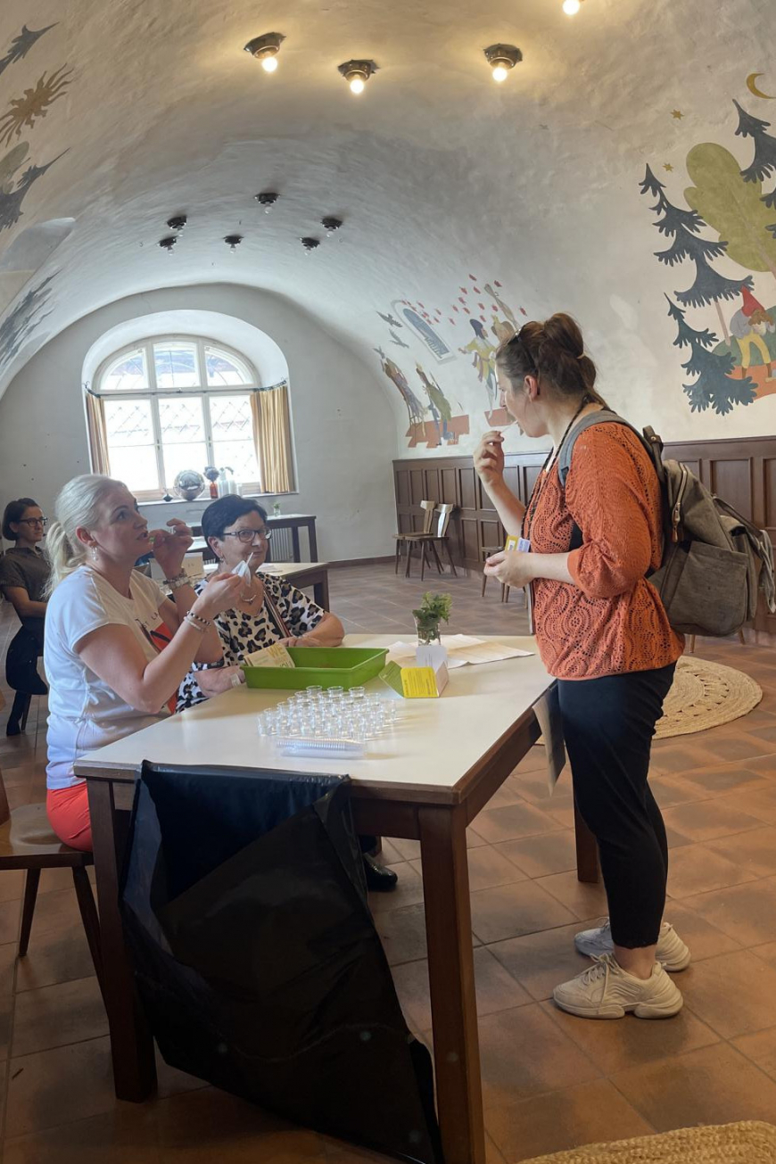 'Brigitte Gehwolf organisierte im Schloss Fügen diese erfolgreiche Typisierungsaktion'-Bild-7