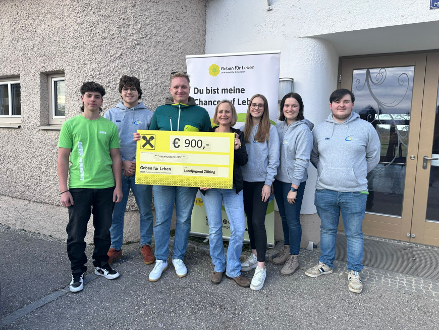 '93 Typisierungen mit der Landjugend Zöbing: Eine Initiative mit Herz'-Bild-1