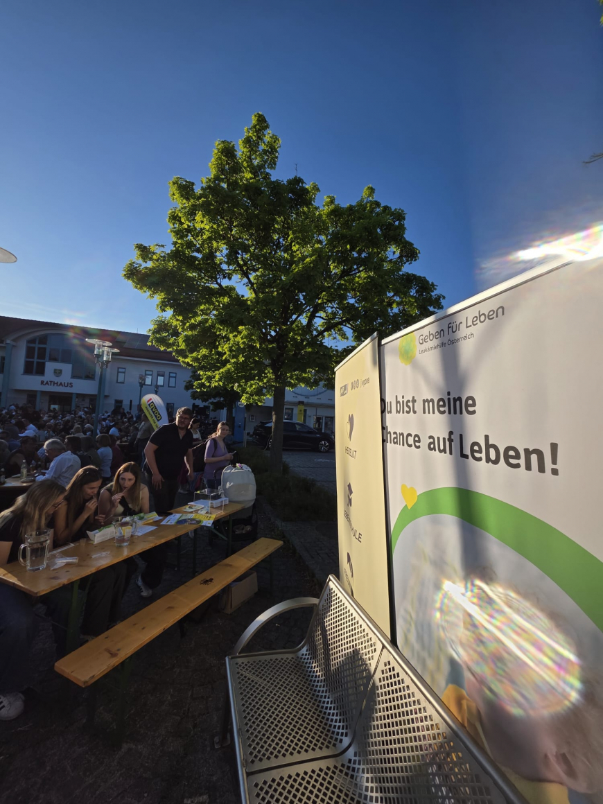 '41 neue Typisierungen beim Maibaumaufstellen in Seewalchen - Oberösterreich'-Bild-1