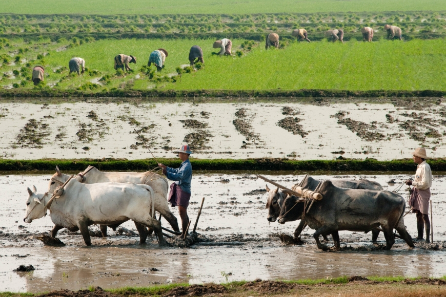 'Mehrfacher Foto-Landesmeister zeigt fantastische Reise durch Burma'-Bild-10