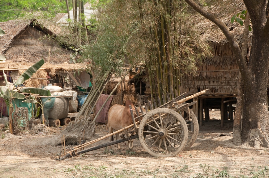 'Mehrfacher Foto-Landesmeister zeigt fantastische Reise durch Burma'-Bild-13