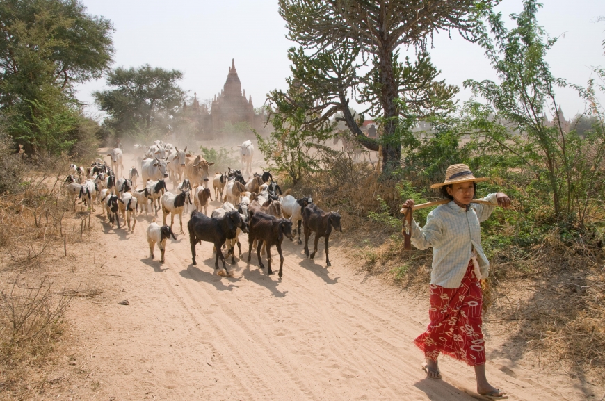 'Mehrfacher Foto-Landesmeister zeigt fantastische Reise durch Burma'-Bild-18