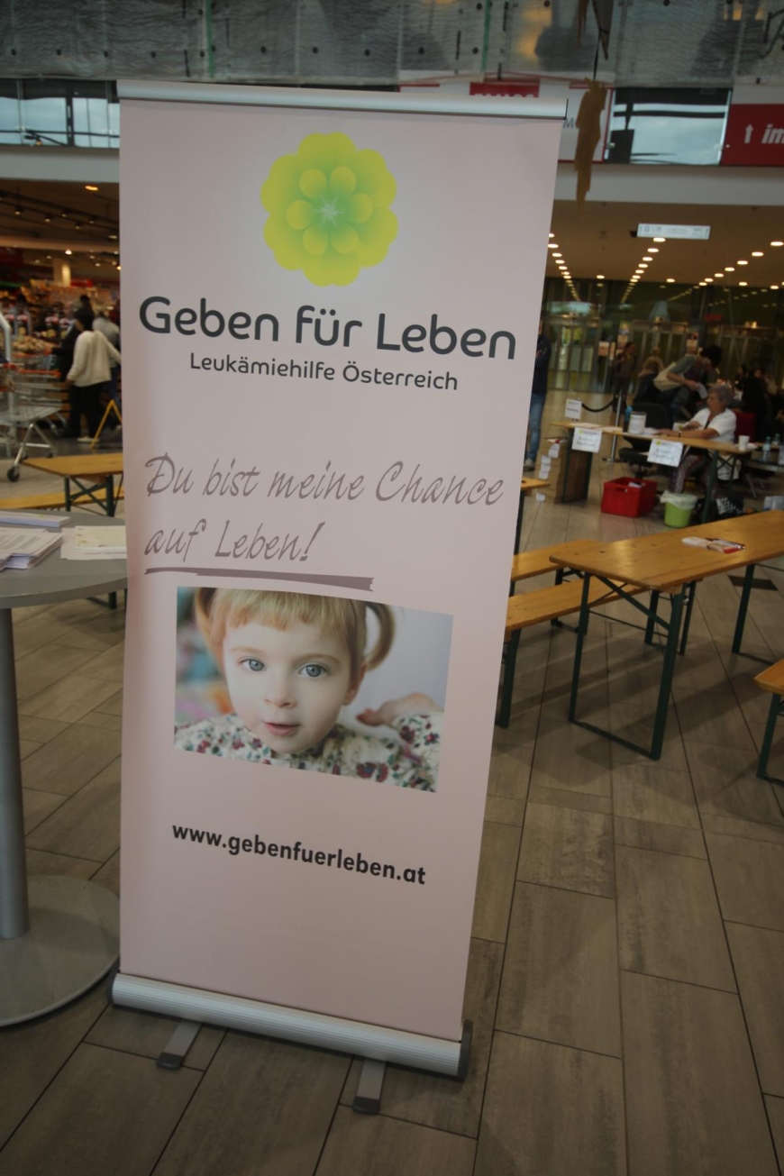 'Großartige Aktion mit reger Beteiiligung'-Bild-5