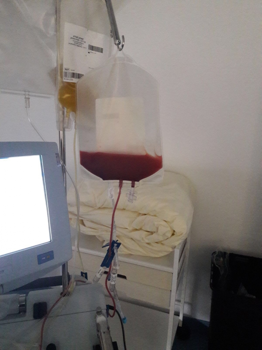 'Bregenzerwälder schenkt Hoffnung auf Leben ans andere Ende der Welt'-Bild-2