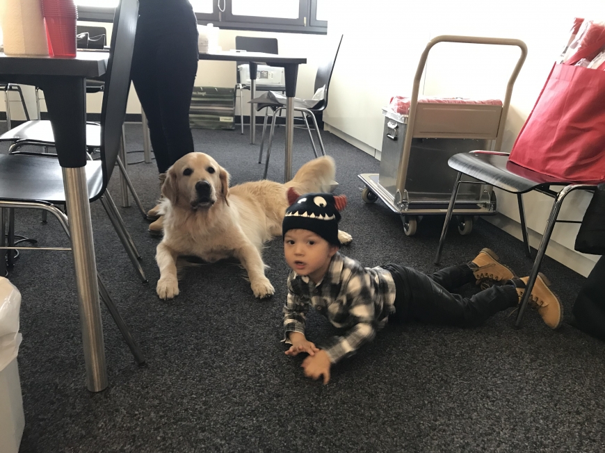 'Radiosender überzeugt mit großem Engagement und tollem Einsatz'-Bild-29