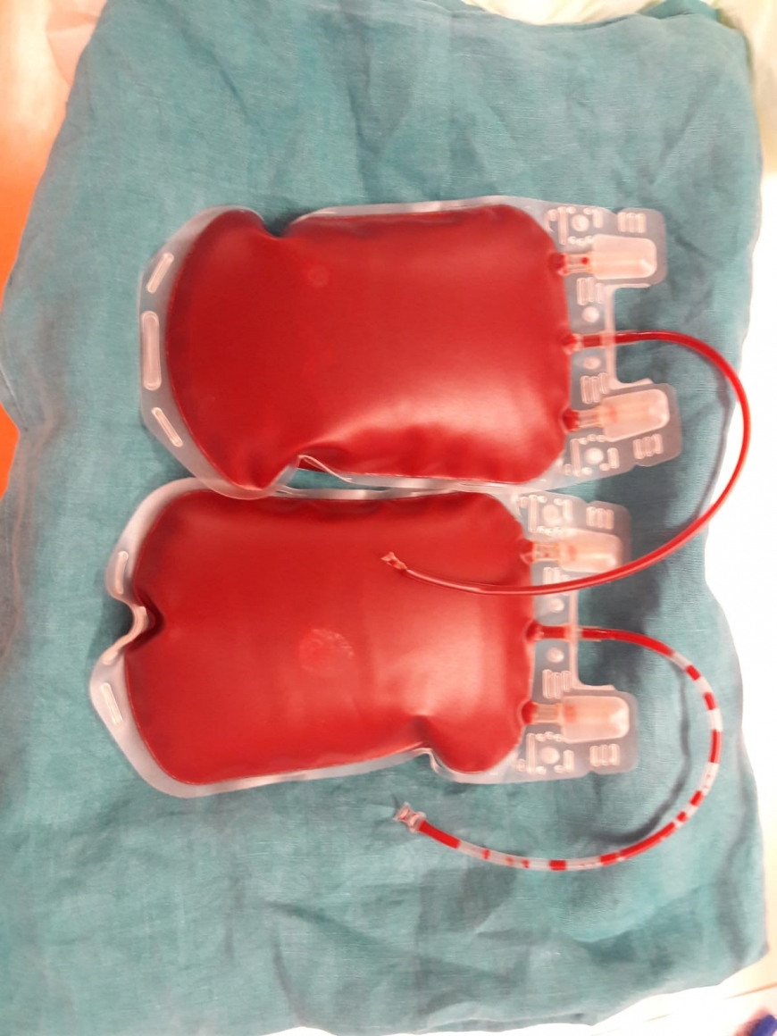 'Vorarlbergerin spendet Knochenmark für kleines Kind aus Mitteleuropa'-Bild-4