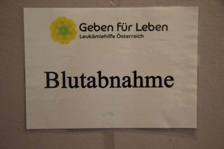 'Heimischer Energieprofi mit kreativer Spendenaktion in Bregenz'-Bild-11