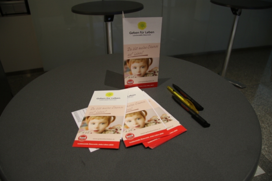 'Heimischer Energieprofi mit kreativer Spendenaktion in Bregenz'-Bild-21