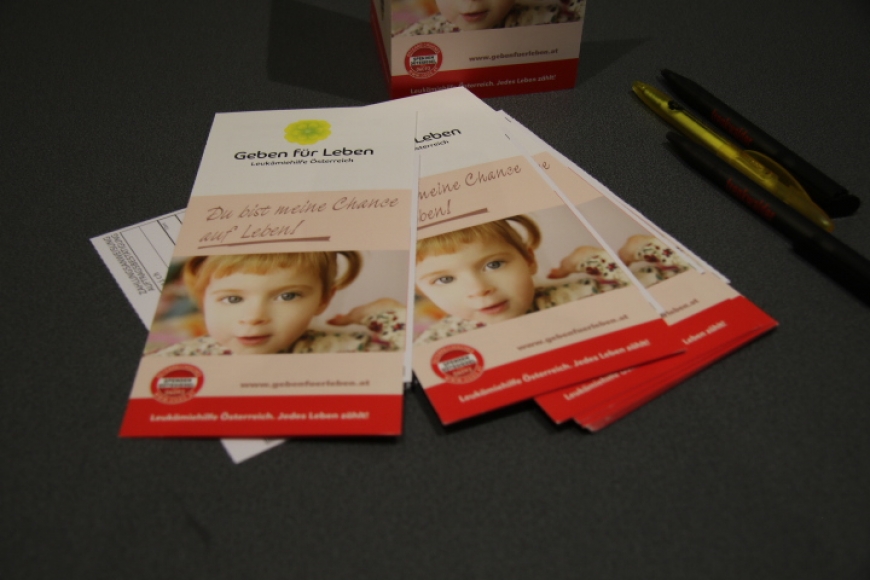 'Heimischer Energieprofi mit kreativer Spendenaktion in Bregenz'-Bild-24