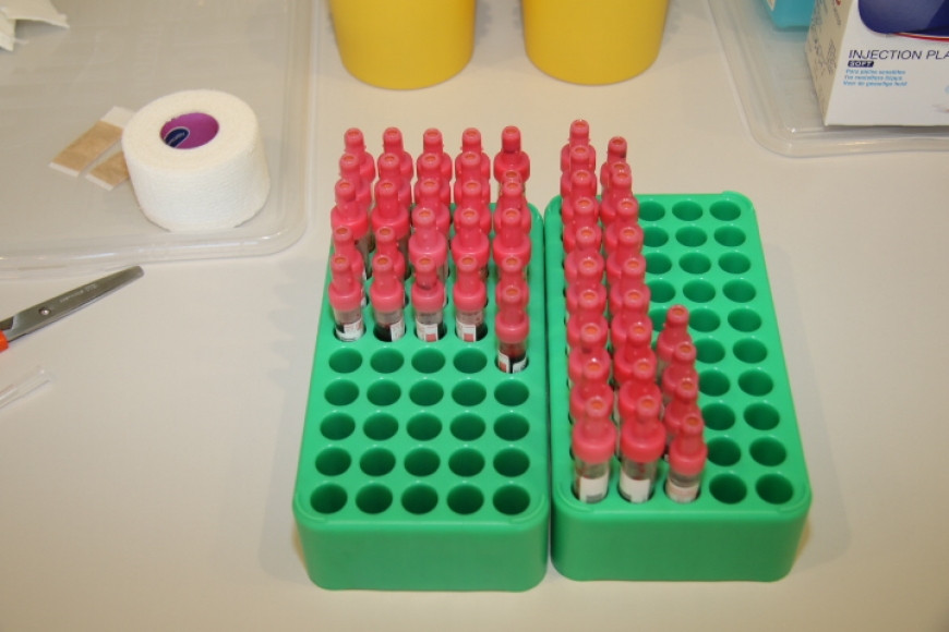 'Heimischer Energieprofi mit kreativer Spendenaktion in Bregenz'-Bild-39