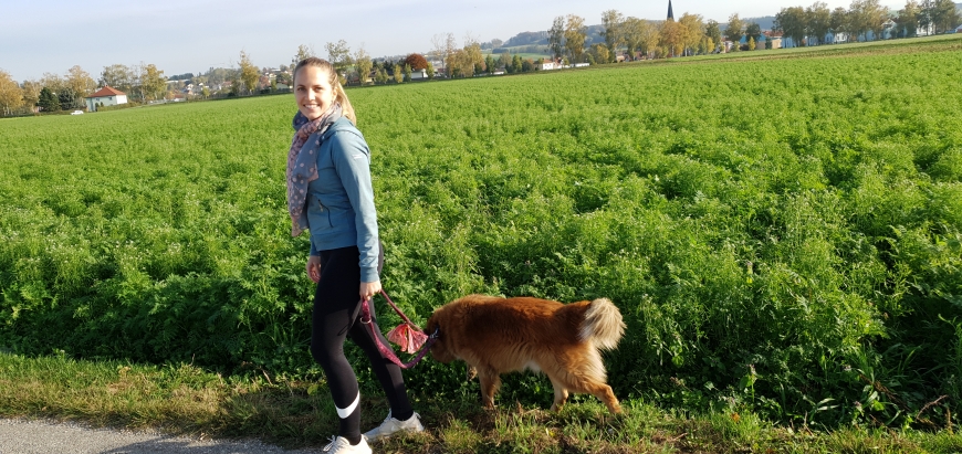 'Junge Niederösterreicherin spendet ihr Knochenmark an Jungen aus Nordeuropa'-Bild-1