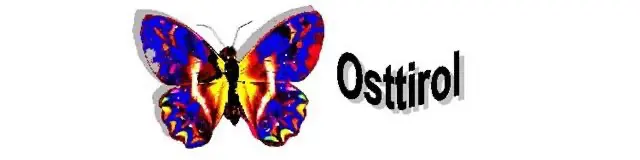 kinderkrebshilfeosttirol