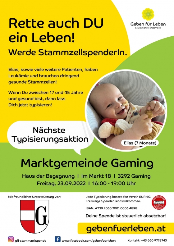 Gaming / Niederösterreich