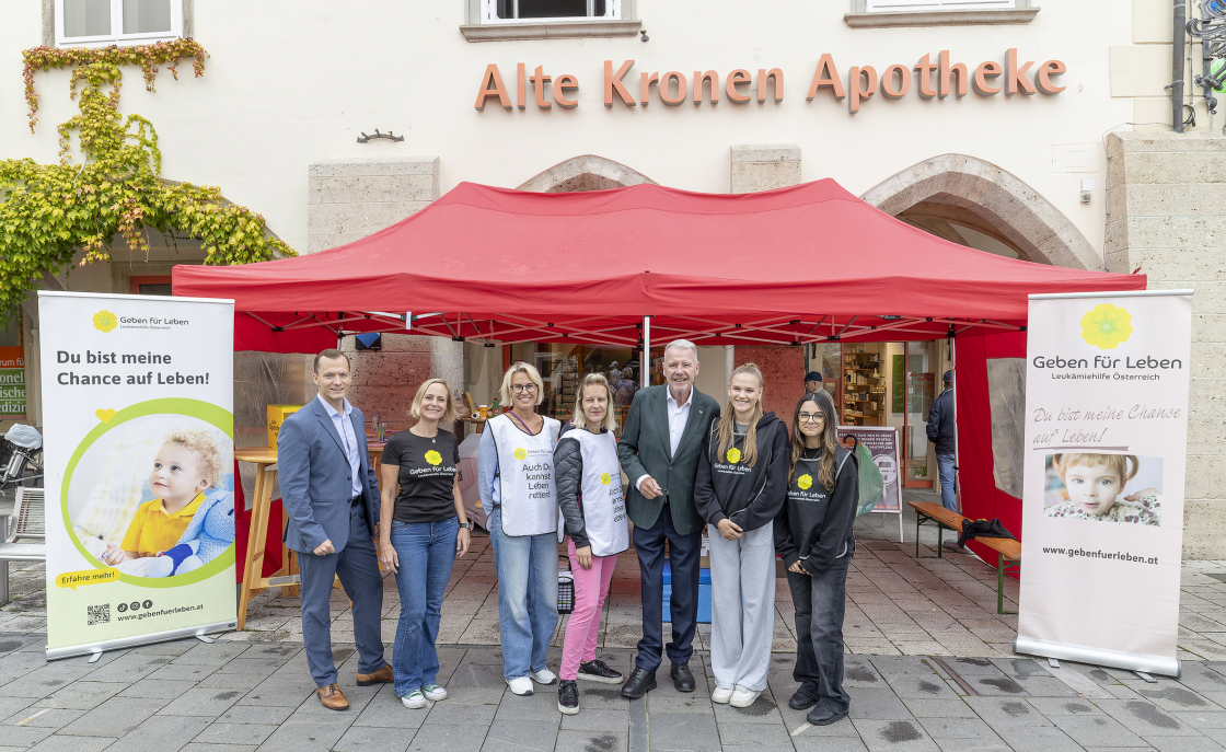 52 Typisierungen beim Bunten Stadtfest in Wiener Neustadt - Niederösterreich