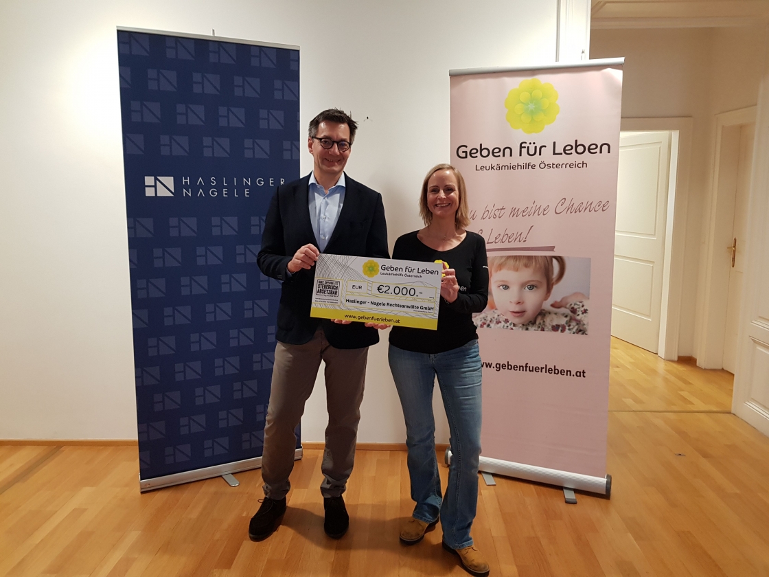 38 Typisierungen bei Haslinger/Nagele Rechtsanwälte - Wien/OÖ