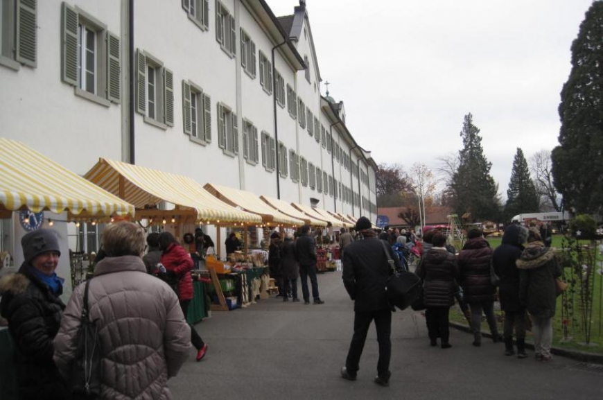 'Mehrerauer Benefizadventsmarkt - wir waren dabei!'-Bild-27