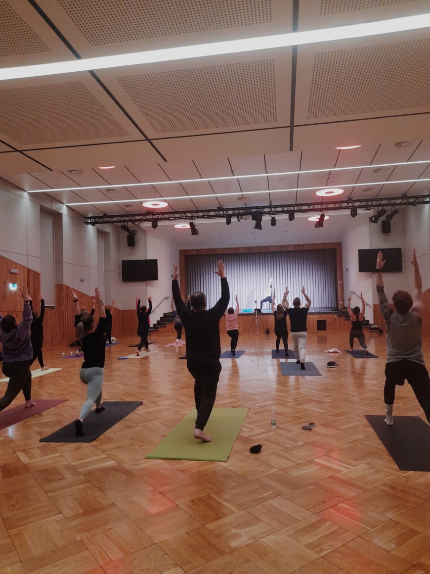 'Öffentliche Yoga Session für den guten Zweck in Völkermark'-Bild-1