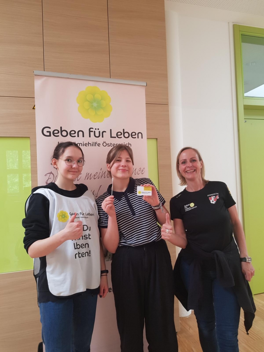'Schulprojekt in Wien ein großer Erfolg'-Bild-5