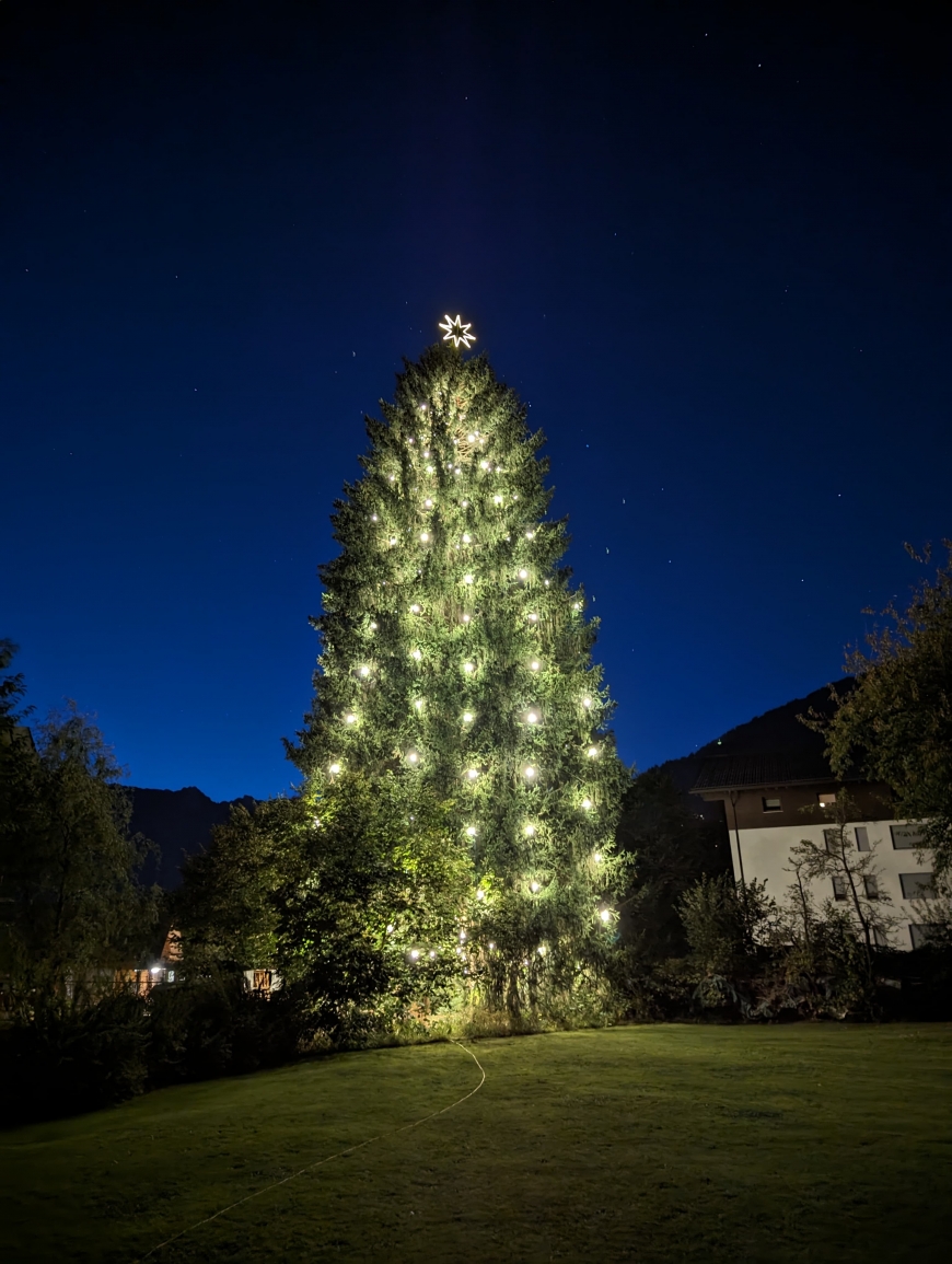 'Montafoner Christbaumfreunde spenden nach Illuminierung des Baumes'-Bild-3