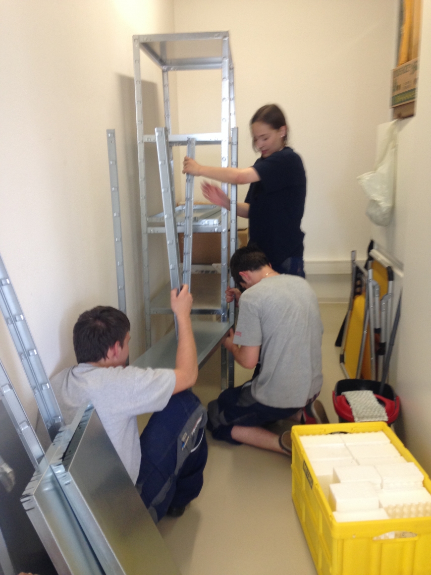 'illwerke vkw helfen durch Lehrlingsaktion bei Vereinsumzug'-Bild-1