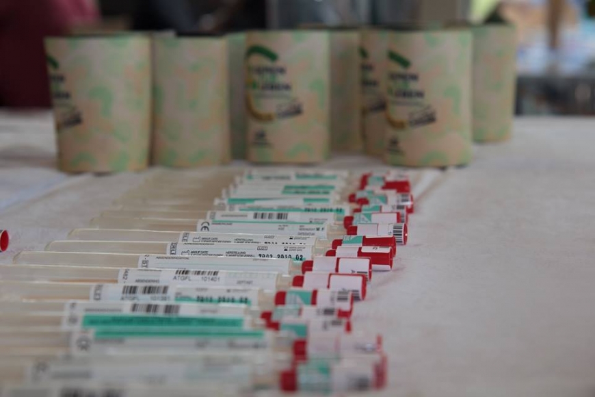 'Erfolgreiche Firmentypisierung von .mse personal service in Liechtenstein'-Bild-8