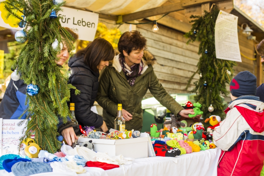 '681 Menschen ließen sich typisieren!'-Bild-19