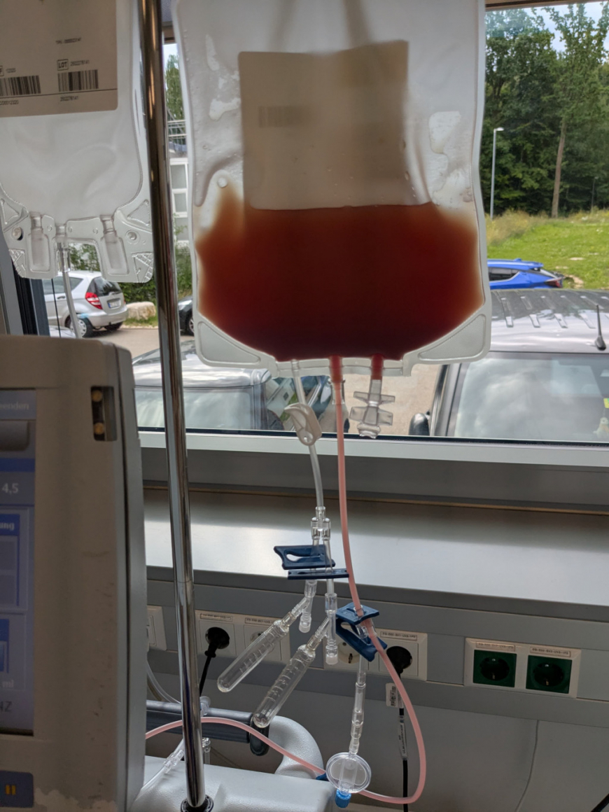 'Unser 745. Stammzellspender ist Gernot aus Höchst - Vorarlberg'-Bild-1