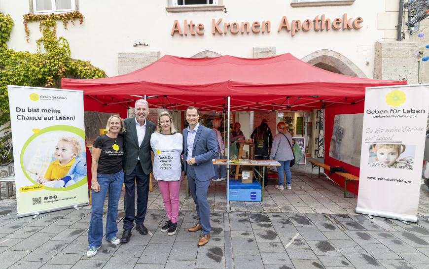 '52 Typisierungen beim Bunten Stadtfest in Wiener Neustadt - Niederösterreich'-Bild-2