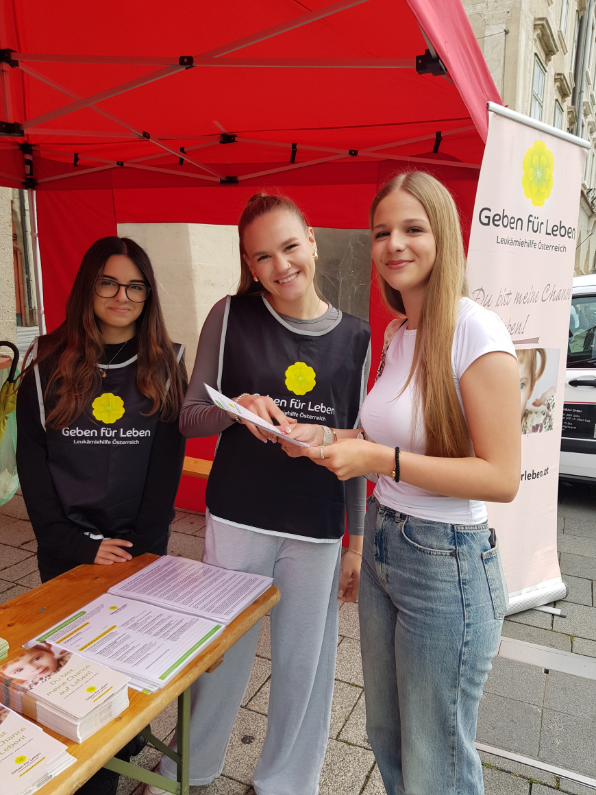 '52 Typisierungen beim Bunten Stadtfest in Wiener Neustadt - Niederösterreich'-Bild-9